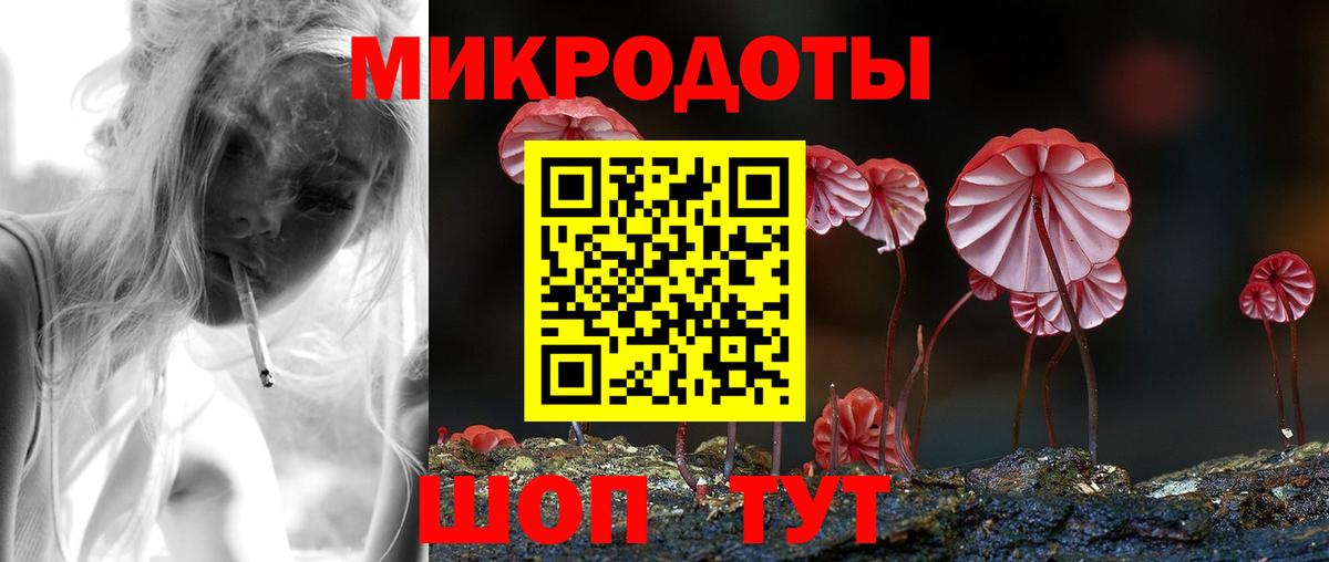 Галлюциногенные грибы Psilocybine cubensis Ейск